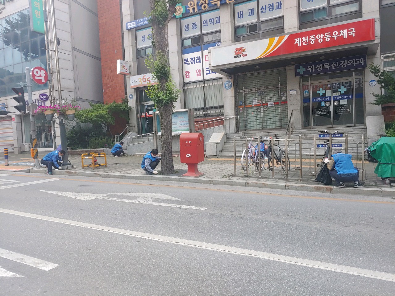 5개 직능단체 여름맞이 대로변 환경정화활동 실시 이미지 2