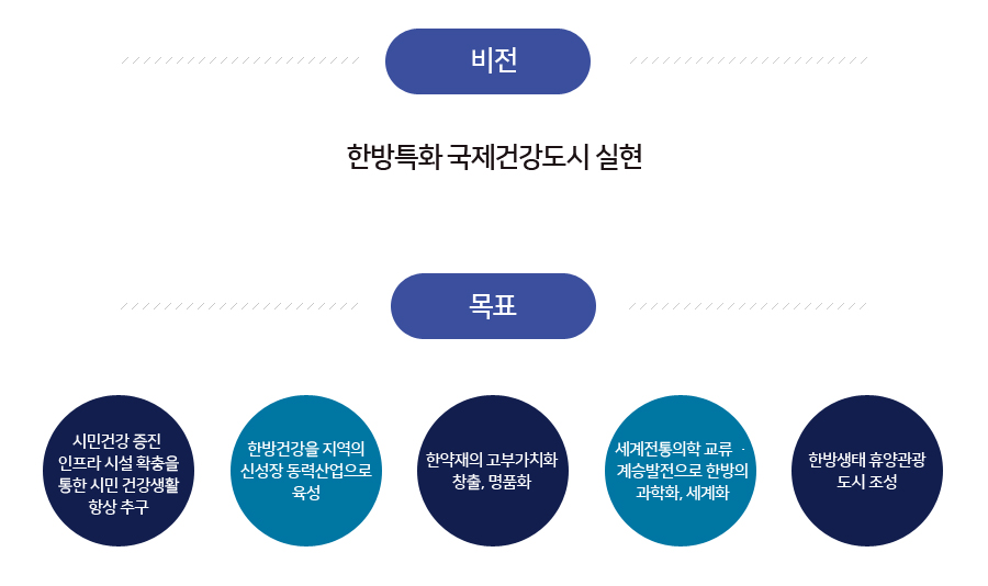 비전-한방특화 국제건강도시 실현/목표-시민건강 증진 인프라 시설 확충을통한 시민 건강생활항상 추구, 한방건강을 지역의 신성장 동력산업으로 육성, 한약재의 고부가치화 창출, 명품화, 세계전통의학 교류·계승발전으로 한방의 과학화, 세계화, 한방생태휴양관광 도시조성